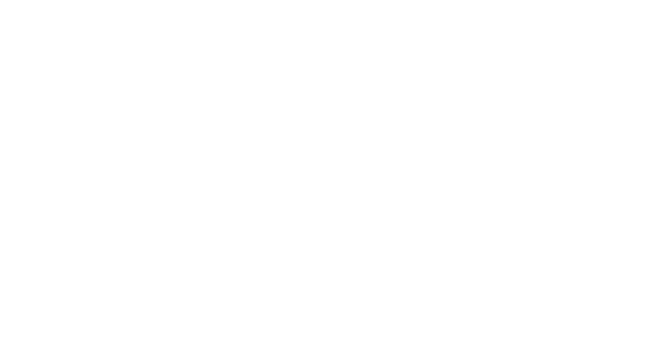 Chiropractic Brooklyn NY Corrective Care Chiropractic Logo