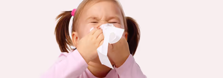 Allergies, Brooklyn, NY