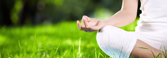 Brooklyn, NY Chiropractor Talks about Wellness Care